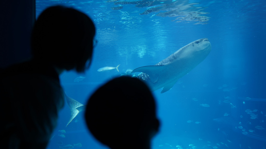 みんな同じ生き物