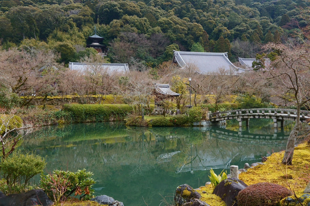 京都東山　放生池からの永観堂（禅林寺）