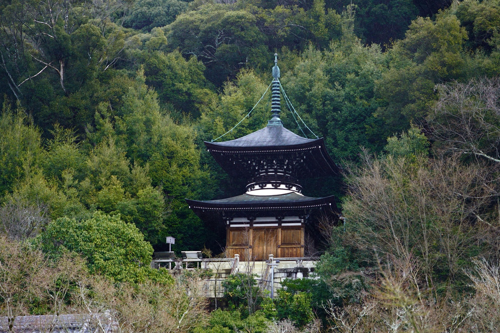 京都東山に聳える永観堂（禅林寺）多宝塔