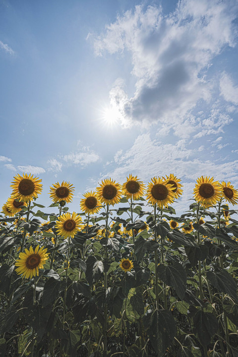 夏到来☀️