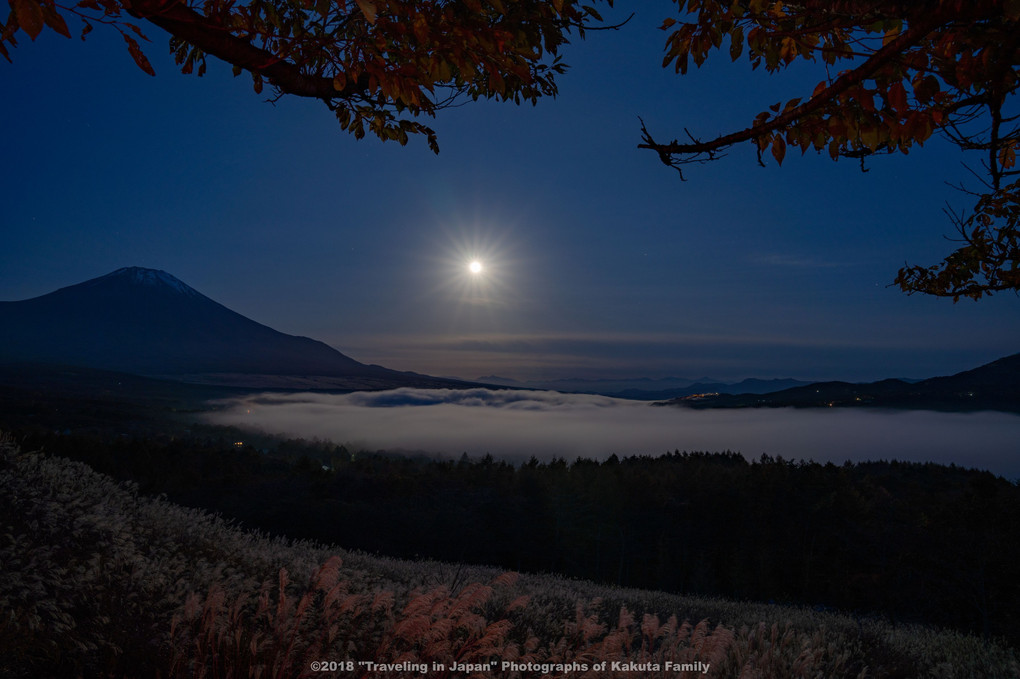 月光に照らされる富士