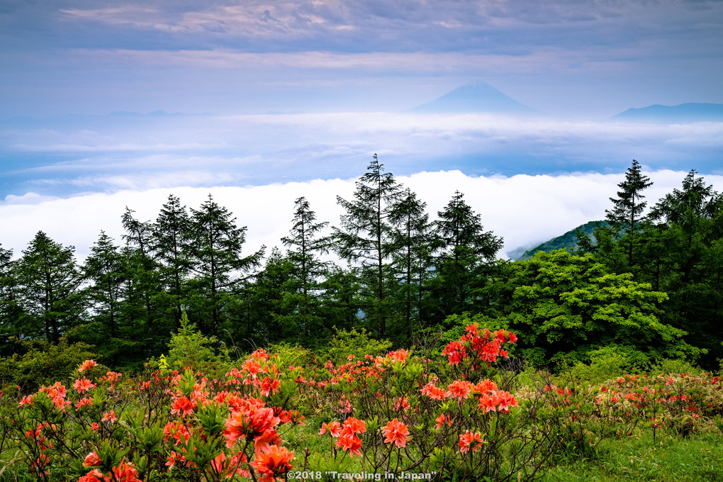 もう少し富士山がクリアに写ったら・・・はい、来年またトライします