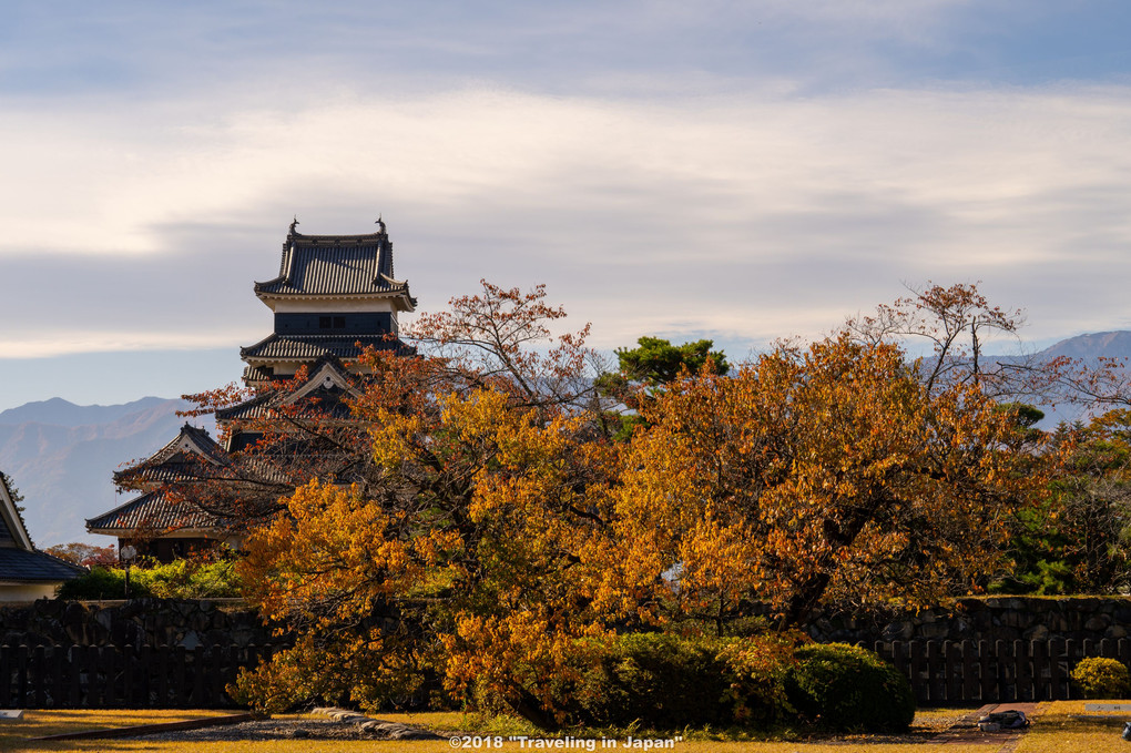 秋の松本城