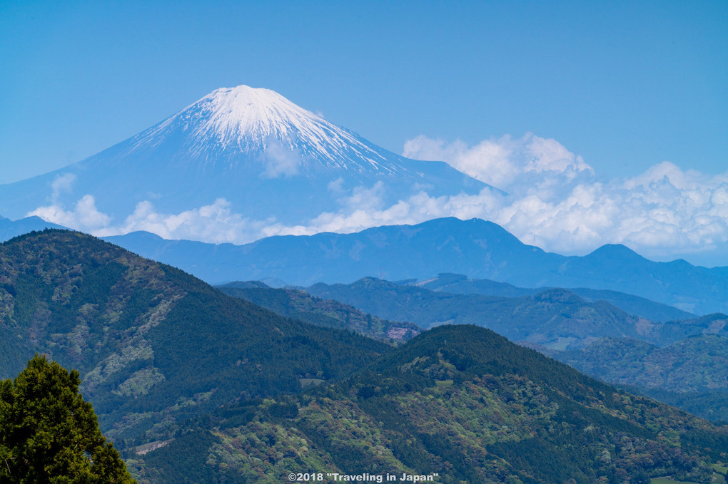 粟が岳からの富士