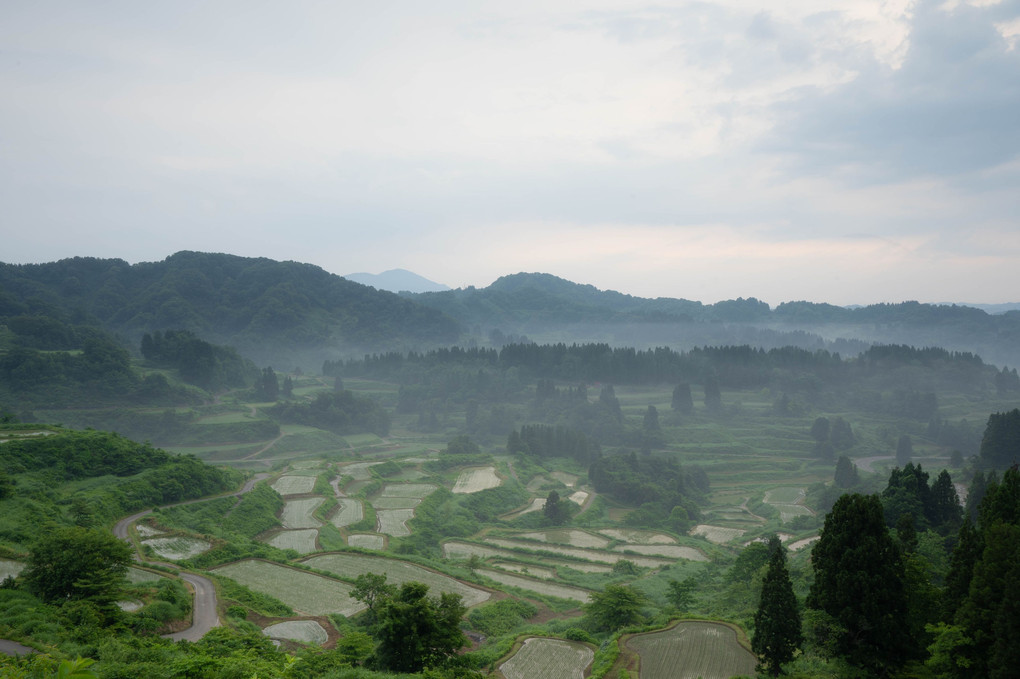 星峠の棚田