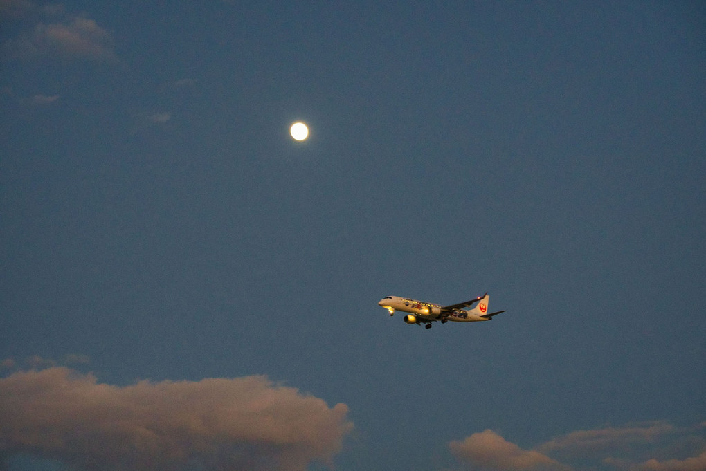 日没間際の伊丹空港