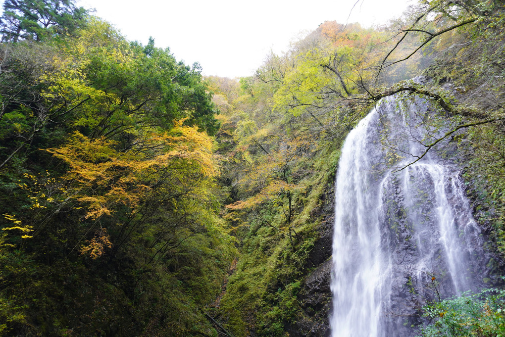 白猪の滝