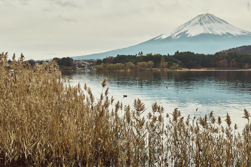 富士と湖