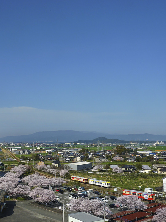 青空×桜×甘木鉄道