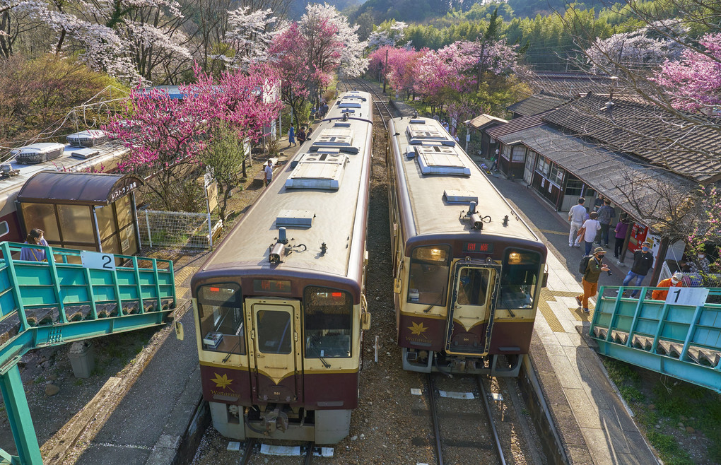 桃源郷駅