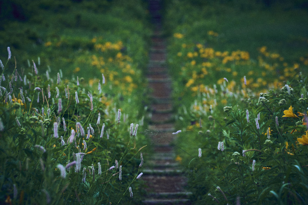 往く道、来る道