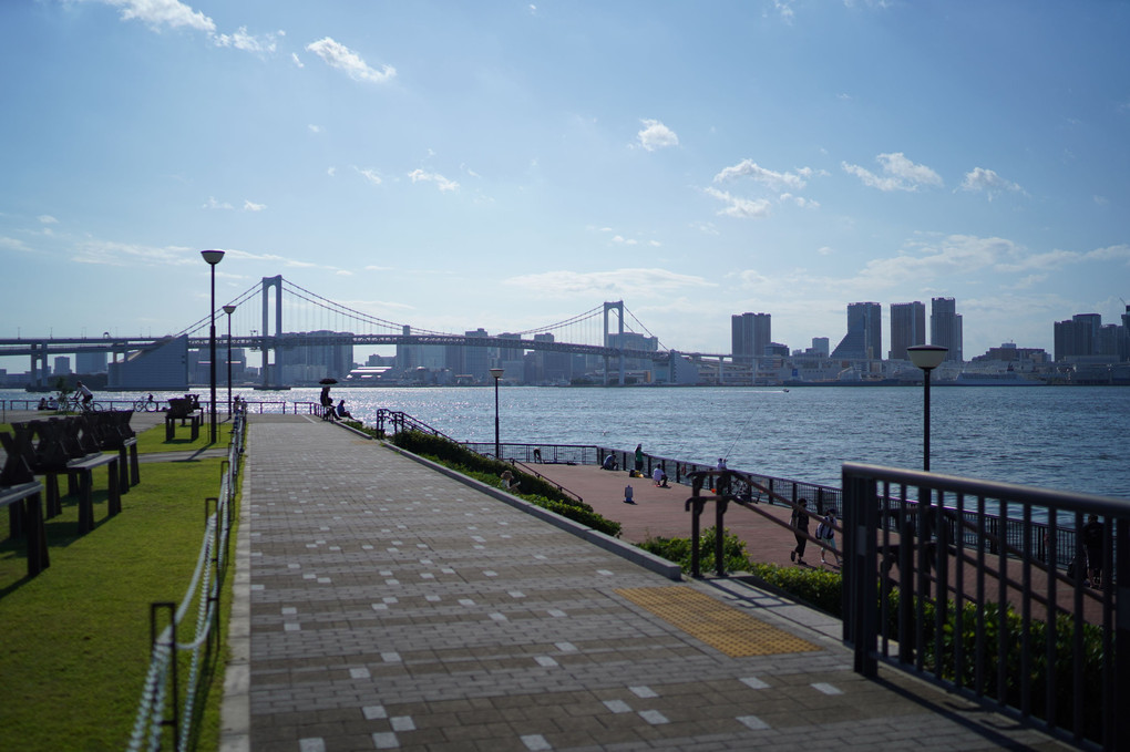 豊洲の散歩道