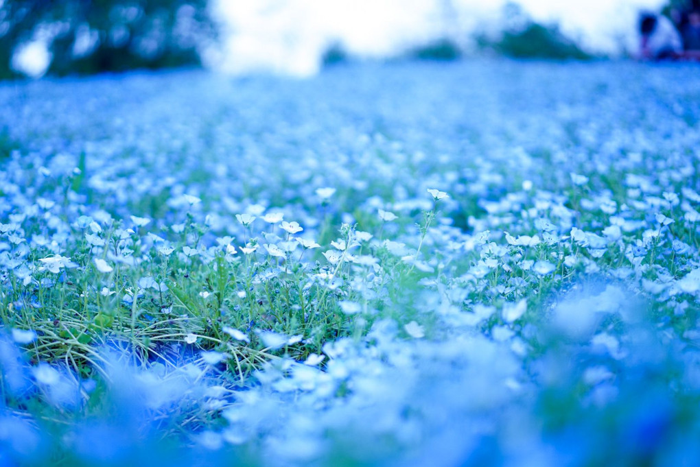 雨降る前に