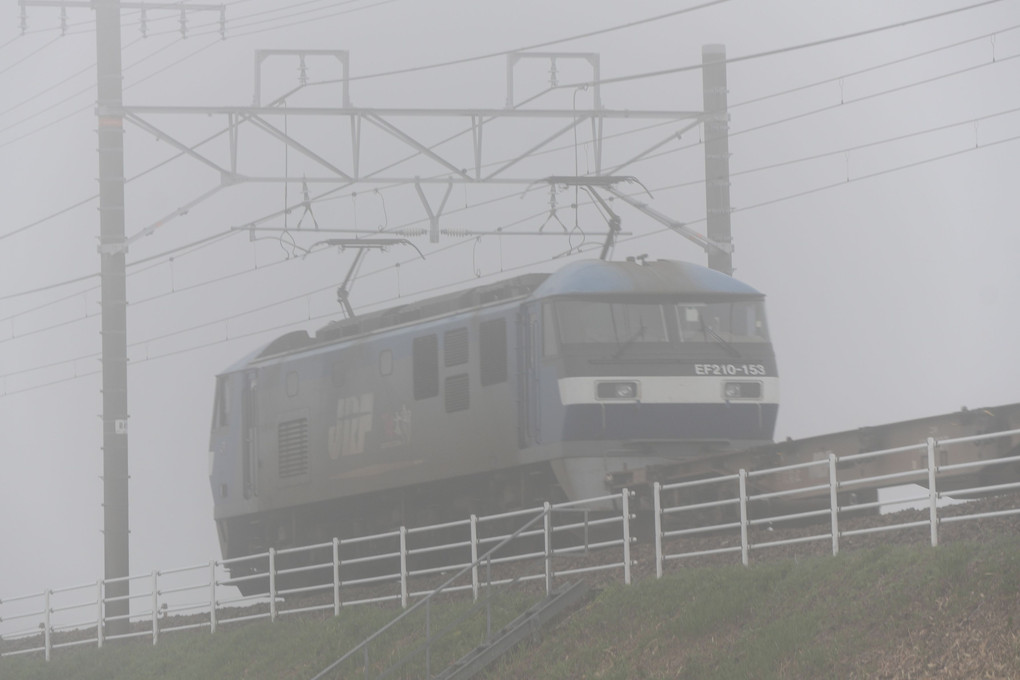 霧の朝の貨物列車
