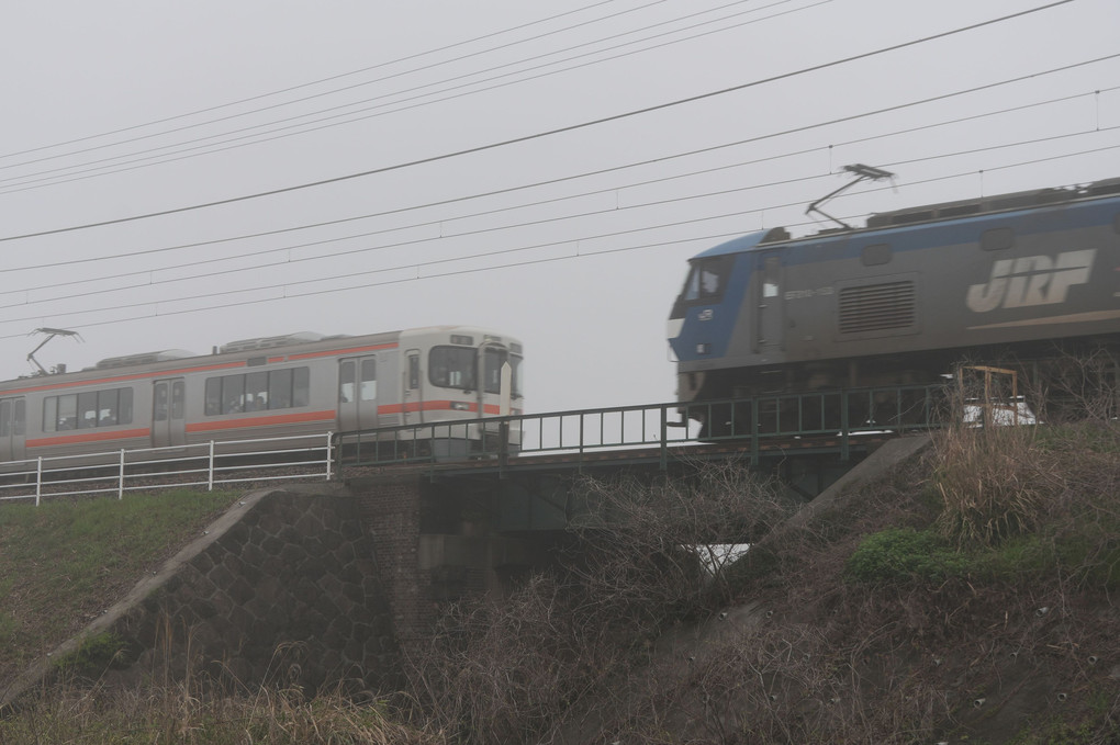 霧の朝の貨物列車