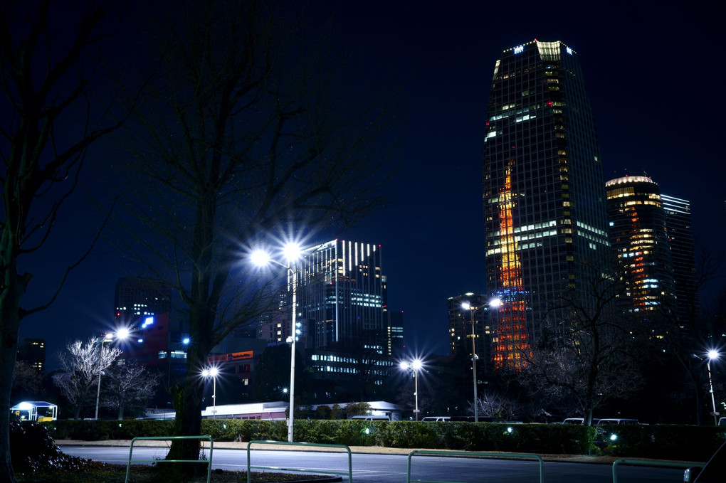 夜の東京タワー