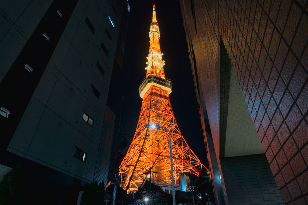 隙間から見る東京タワー