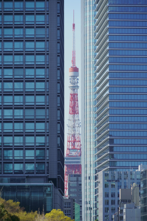 ビルの隙間から見える東京タワー