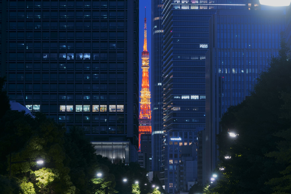 夜の隙間東京タワー