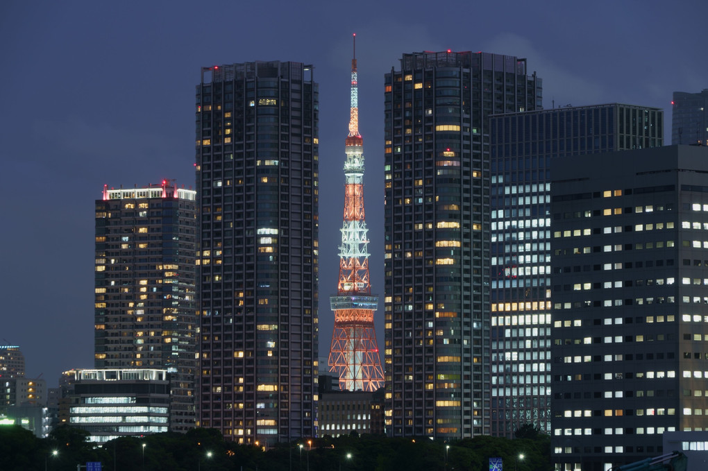 夜のタワマン隙間東京タワー