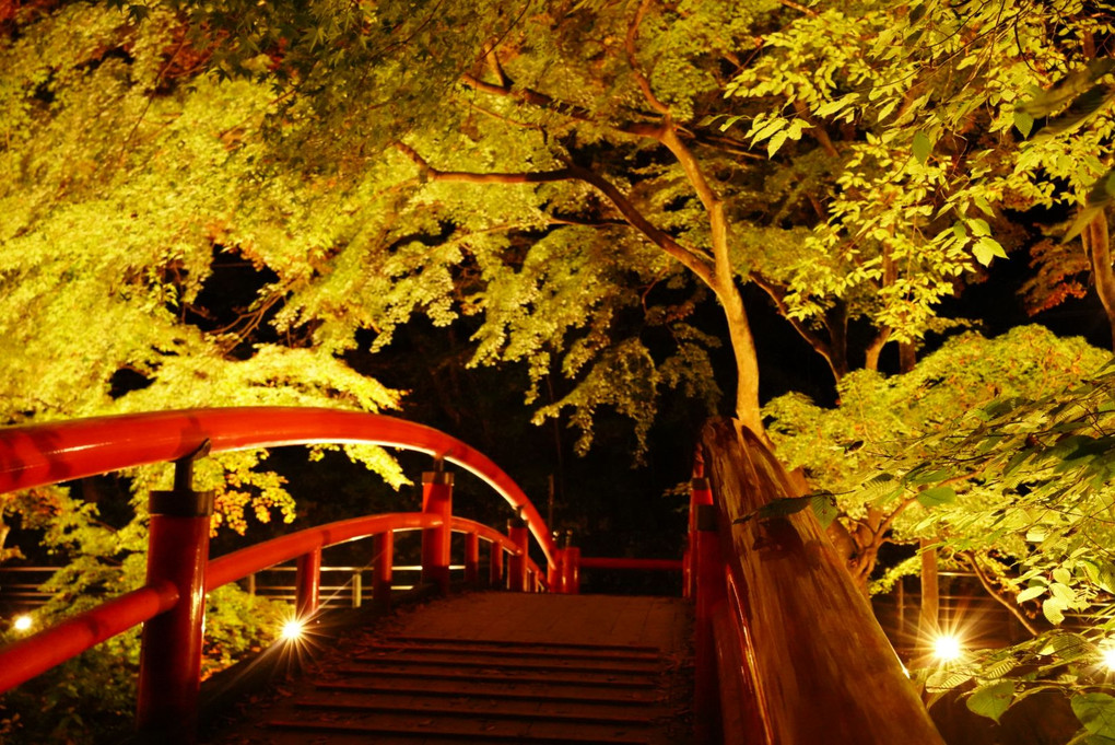 伊香保温泉のライトアップ