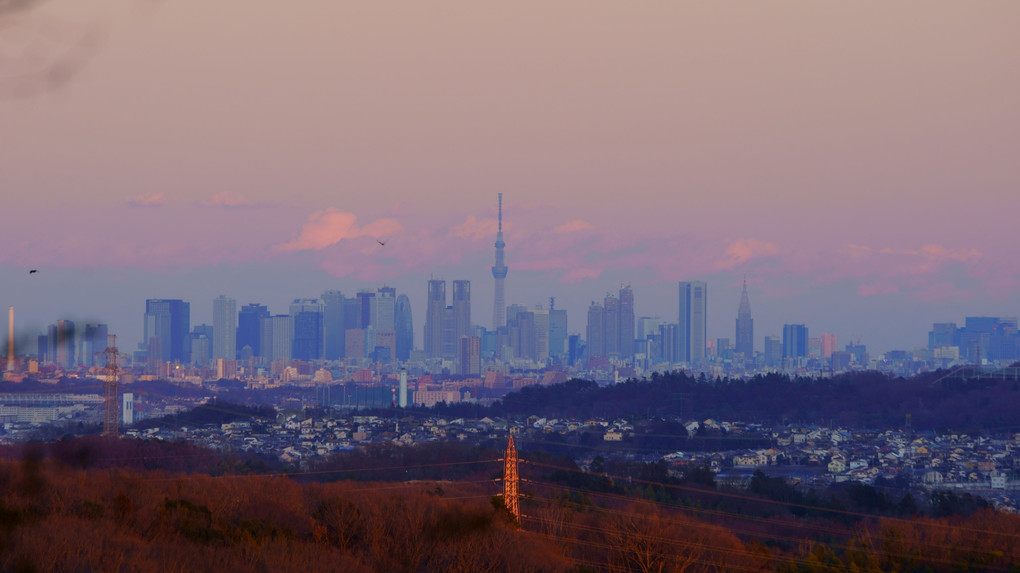 新宿副都心高層ビル群を前座のごとく従える東京スカイツリーを撮り描く...(^^♪