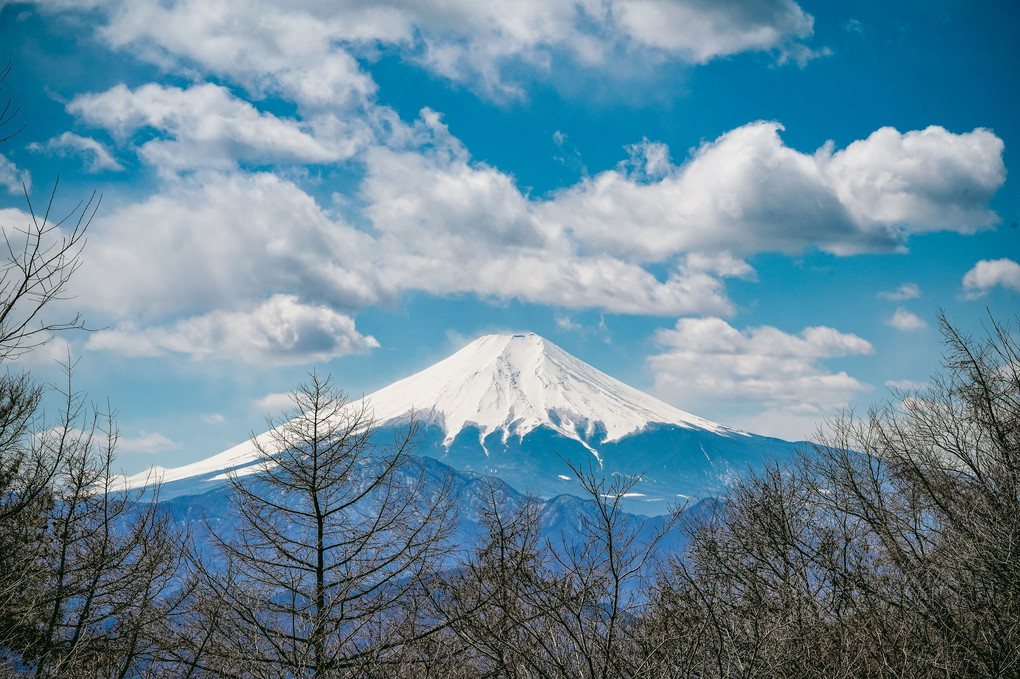 低山から見る富士山
