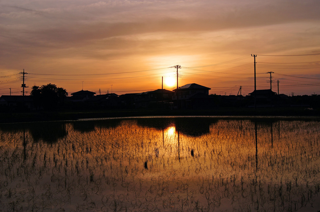 日没