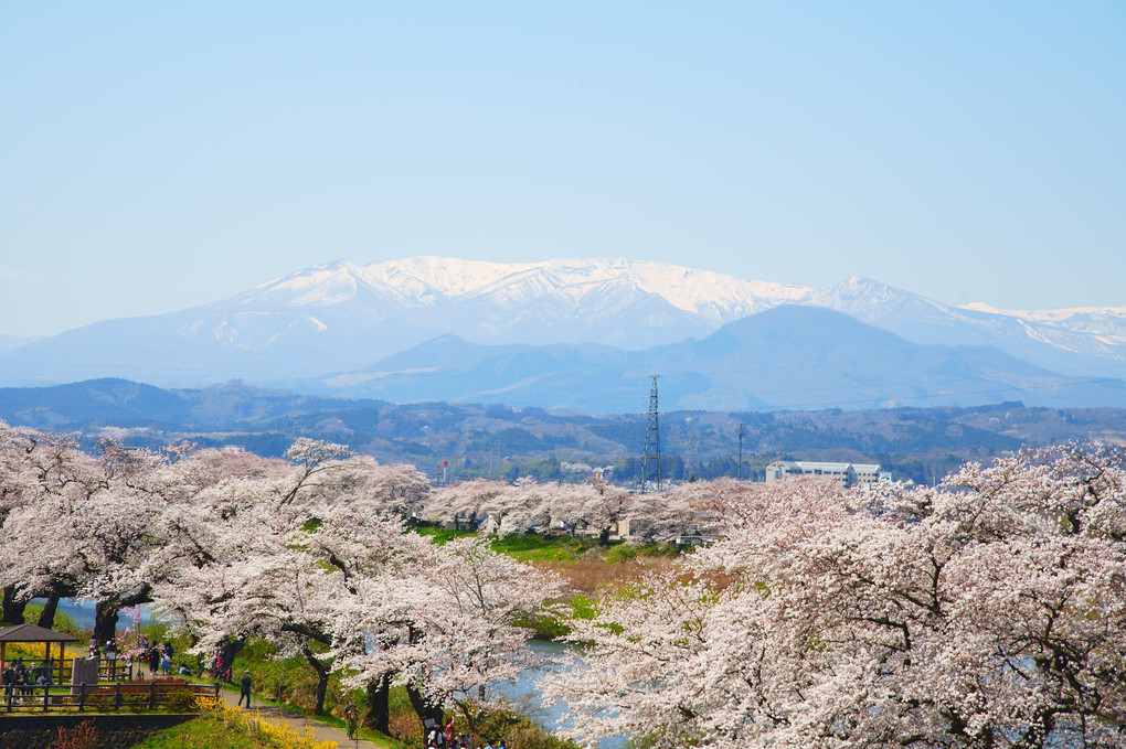 一目千本桜と蔵王連峰