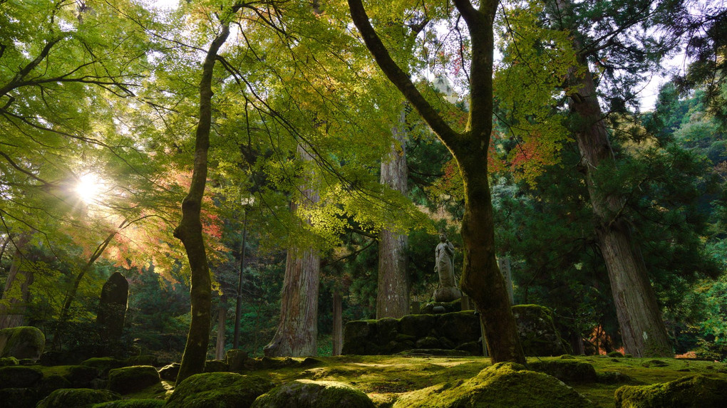 永平寺のお庭にて