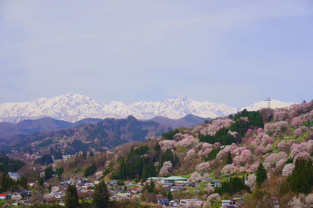 小川村の春