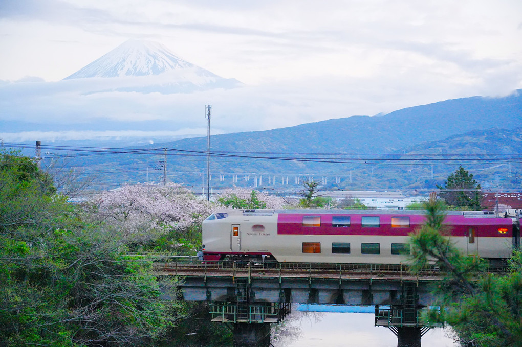 富士山と桜とサンライズ