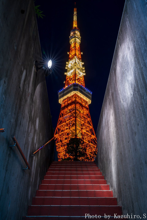 Tokyo　Tower
