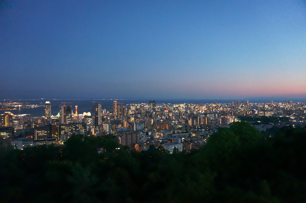 諏訪山からの神戸の夜景