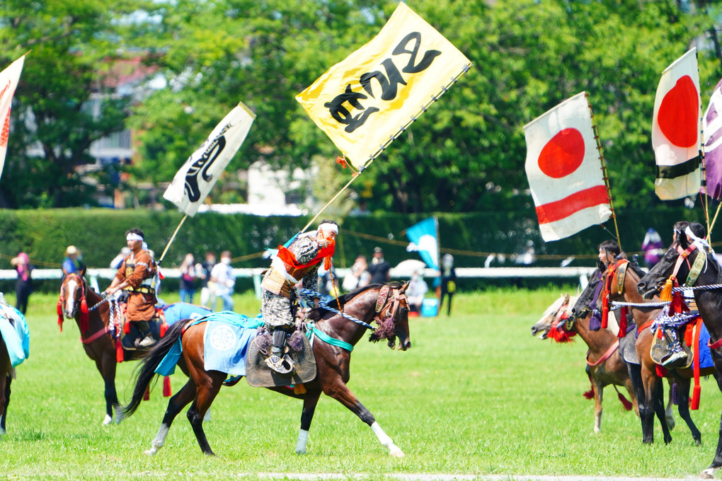 「相馬野馬追」　御神旗争奪戦