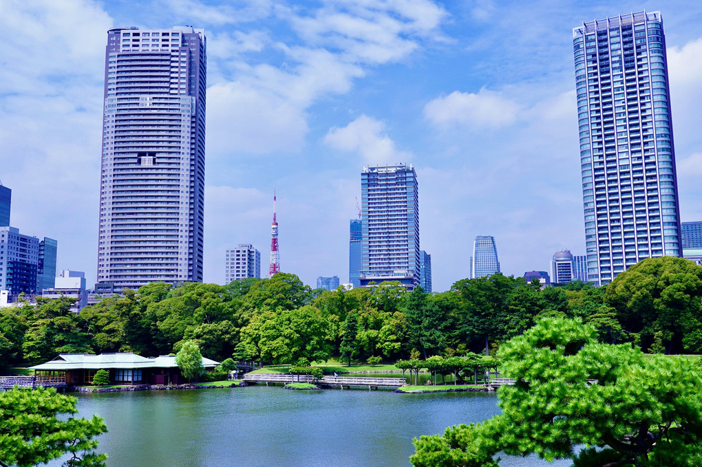 日本庭園と高層ビル