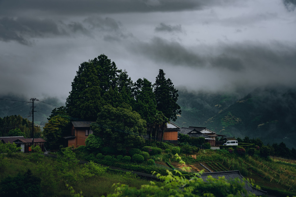 五月雨