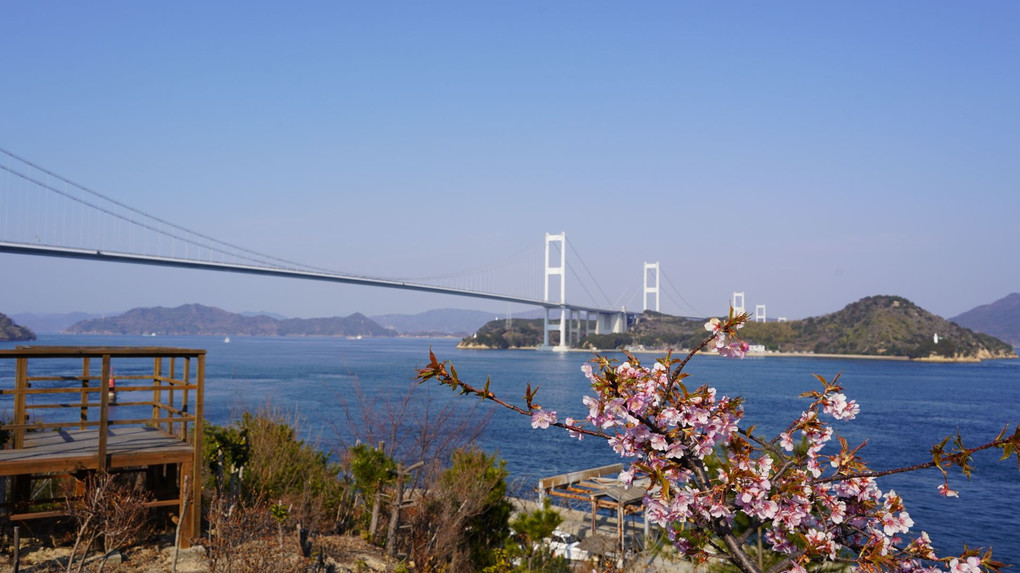 海の見えるカフェより来島海峡大橋