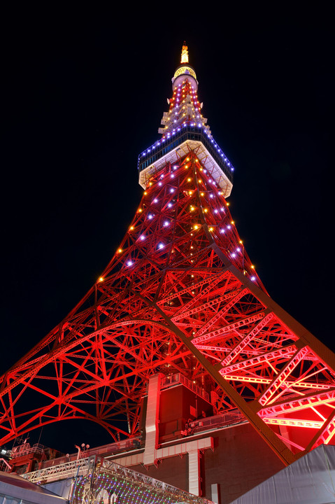 元旦 東京タワー