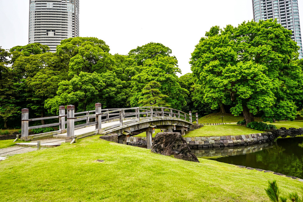 浜離宮恩賜庭園