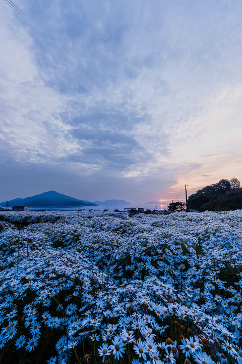 また逢いたくなる景色