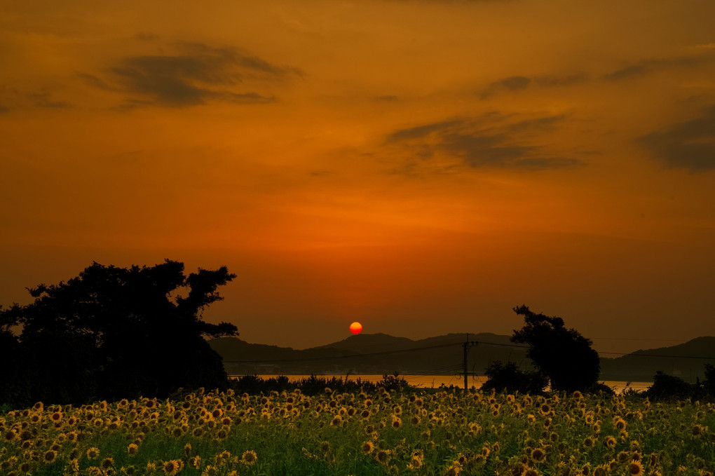 宝島の夕景18