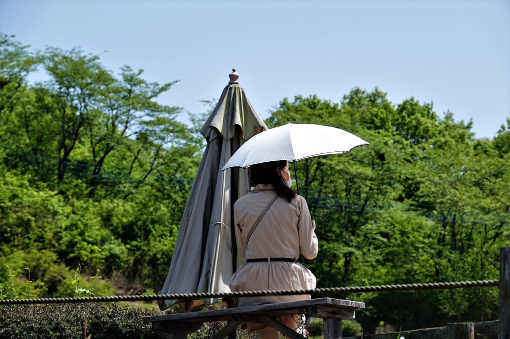 休憩中の一コマ