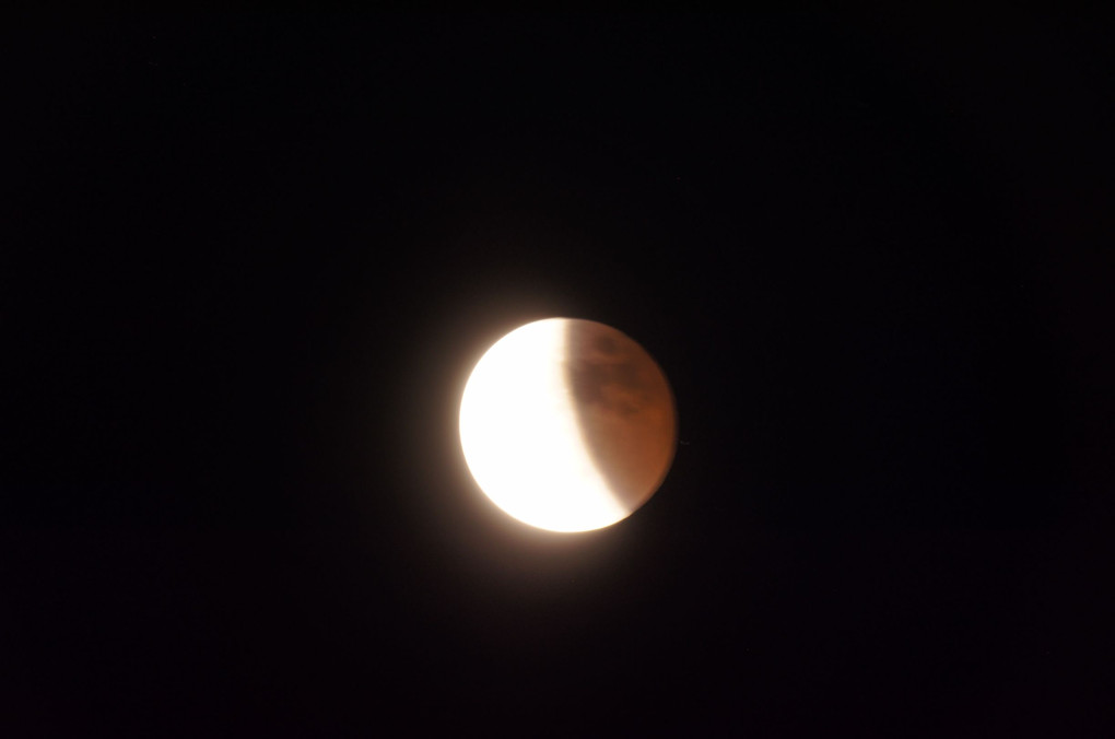 天体ショー　やっと撮れた