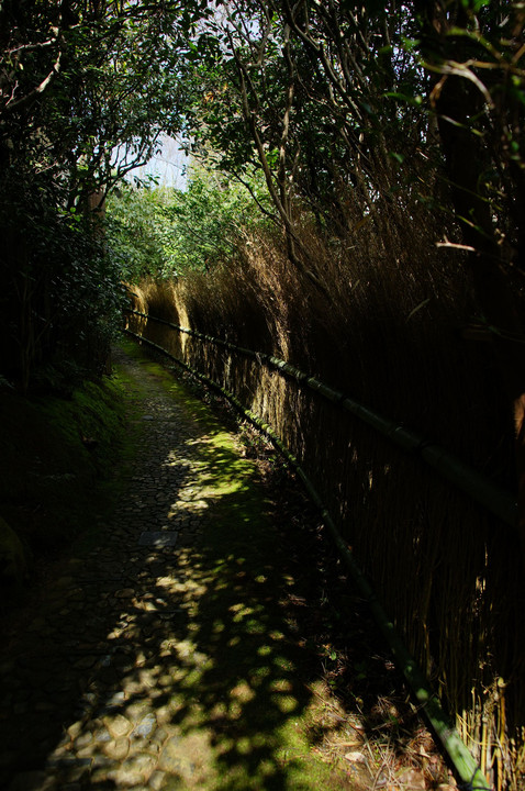 大河内伝次郎山荘