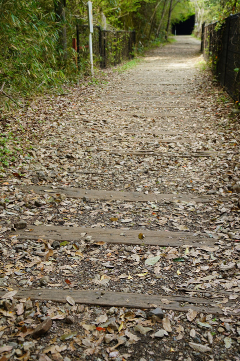 福知山線廃線跡スナップ撮影 