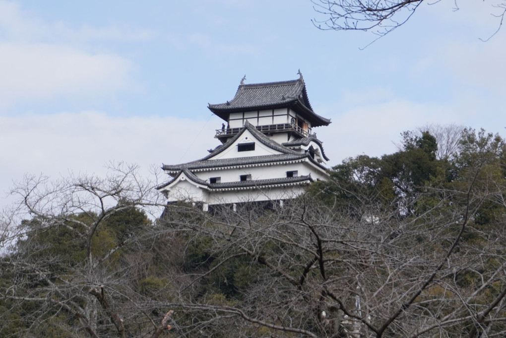 国宝犬山城（愛知県）