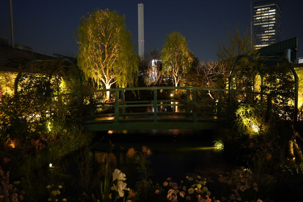 池袋夜景