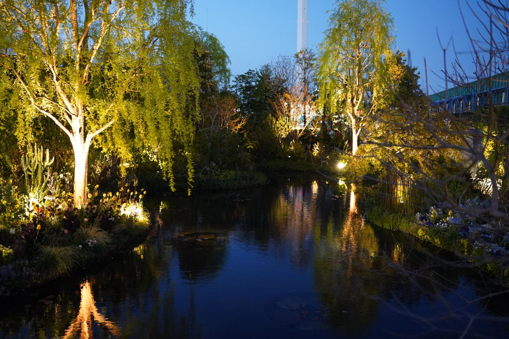 池袋夜景