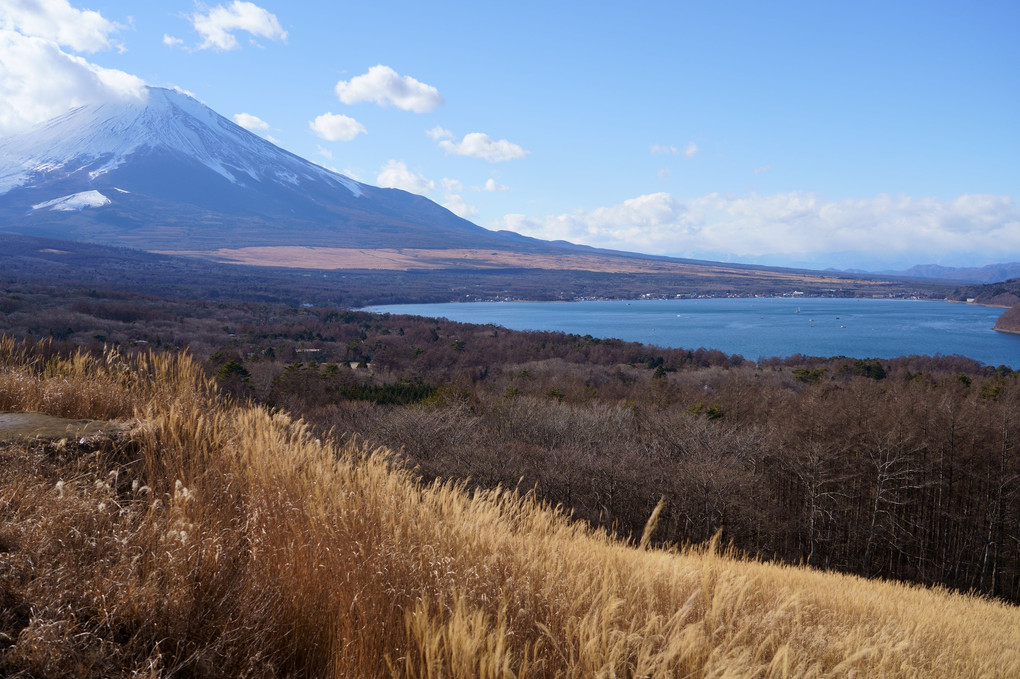 山中湖パノラマ台からの富士